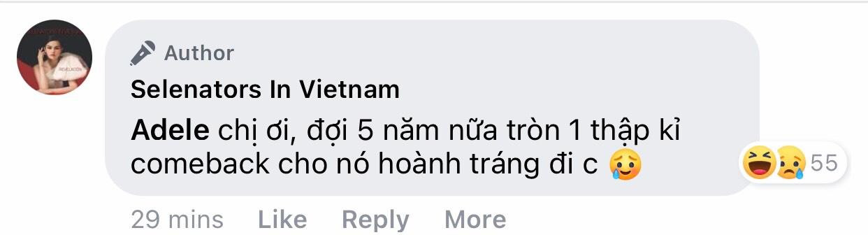 Nguồn ảnh: Selenators In Vietnam Nguồn ảnh: Selenators In Vietnam