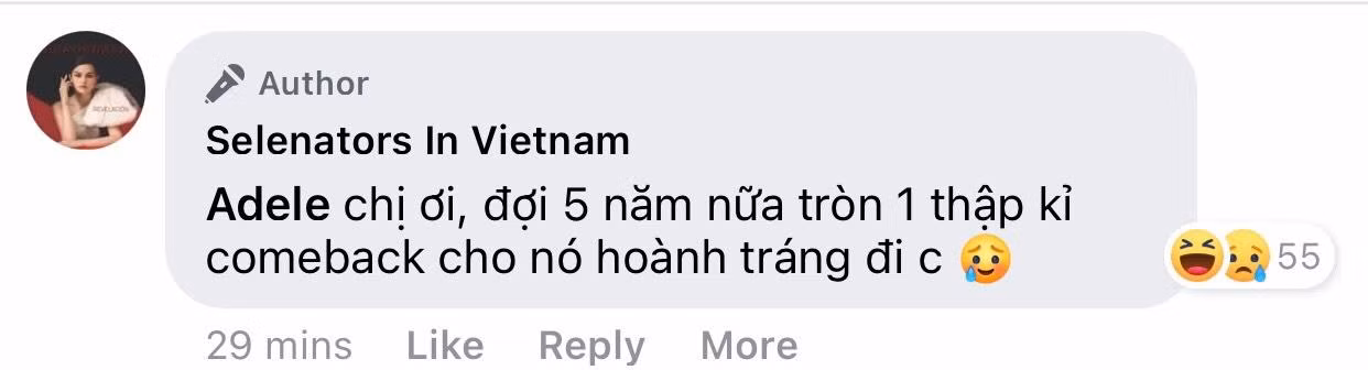Nguồn ảnh: Selenators In Vietnam