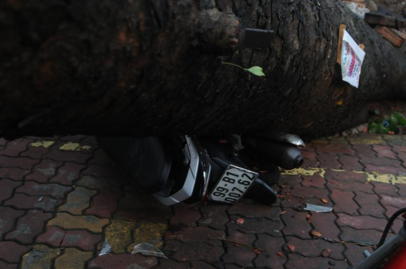 Rất may, thời điểm này, không có người qua lại nên không ai bị thương