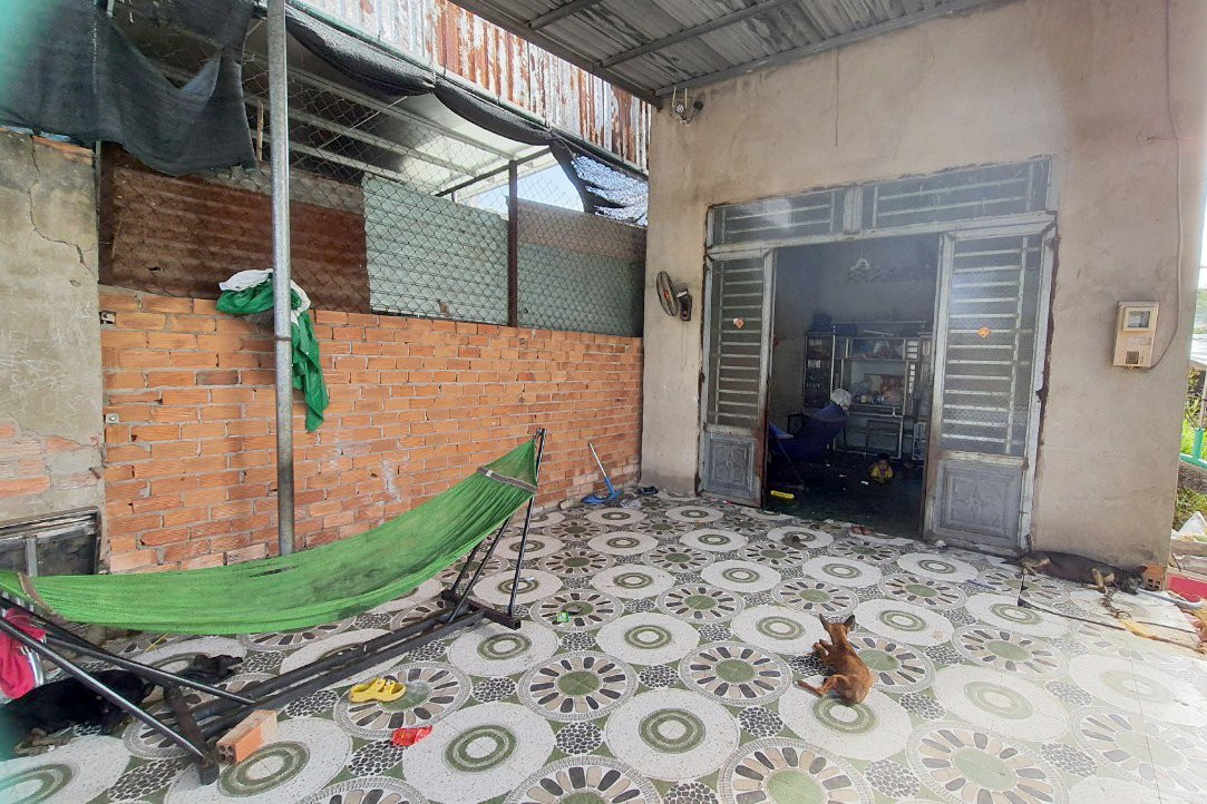 Con bò xông vào nhà anh N. húc bé trai 7 tháng tuổi đang ngủ trên võng rơi xuống nền nhà. Ảnh: M.A Con bò xông vào nhà anh N. húc bé trai 7 tháng tuổi đang ngủ trên võng rơi xuống nền nhà. Ảnh: M.A