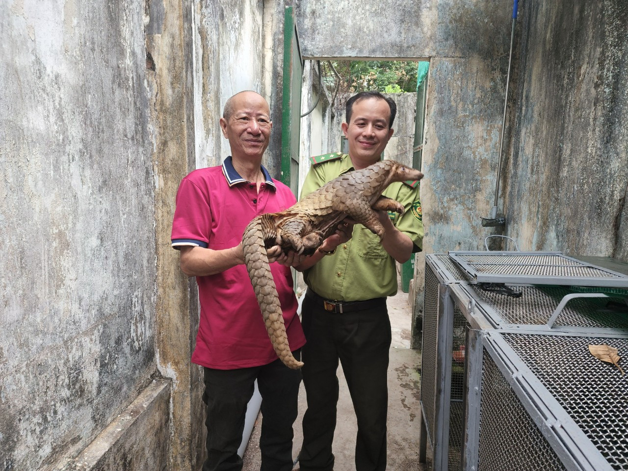 Ông Hoàng bàn giao con tê tê cho cán bộ kiểm lâm. Ông Hoàng bàn giao con tê tê cho cán bộ kiểm lâm.