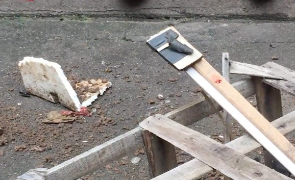 Cãi nhau với chồng cũ, mẹ ném con ra khỏi cửa sổ tầng 4 ảnh 2