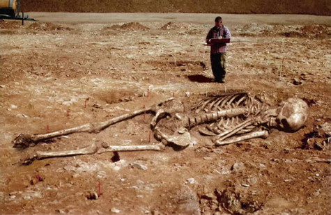 Những thi thể được tìm thấy đều rất cao lớn. Ảnh minh họa