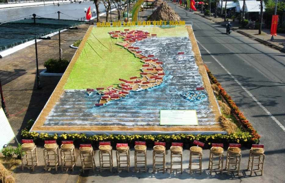 Con đường lúa gạo được hình thành từ hơn 20.000 chậu lúa tại Hậu Giang.