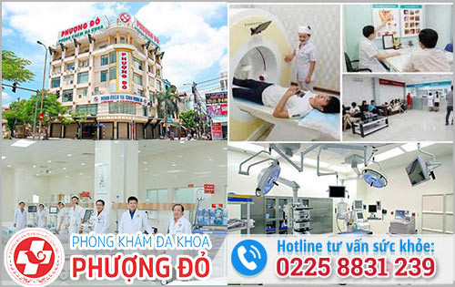 Phòng Khám Nam Khoa Phượng Đỏ Đang Đảm Nhiệm Các Chuyên Khoa