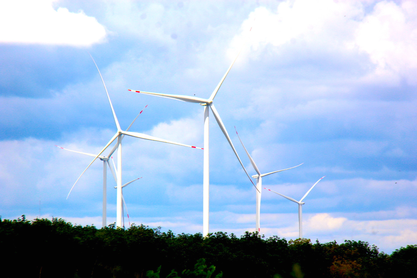 Điện gió không chỉ là nguồn năng lượng sạch, mà còn đem lại hình ảnh đẹp cho tỉnh