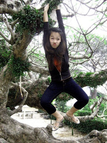 "Vườn thú đón chào em".