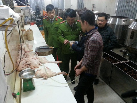 Phát hiện cơ sở “phù phép” vịt quay vàng óng ở Hà Nội ảnh 1