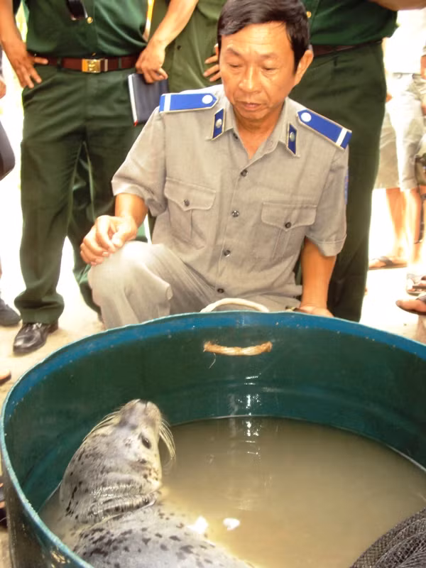 Bàn giao để động vật quý hiếm được trả lại môi trường tự nhiên”. bàn giao để động vật quý hiếm được trả lại môi trường tự nhiên”