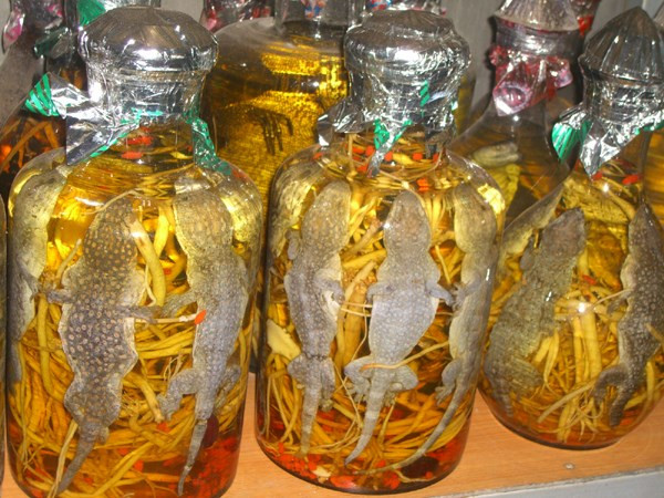 Suy thận vì thuốc bổ thận tráng dương... sự thật oái oăm ảnh 1