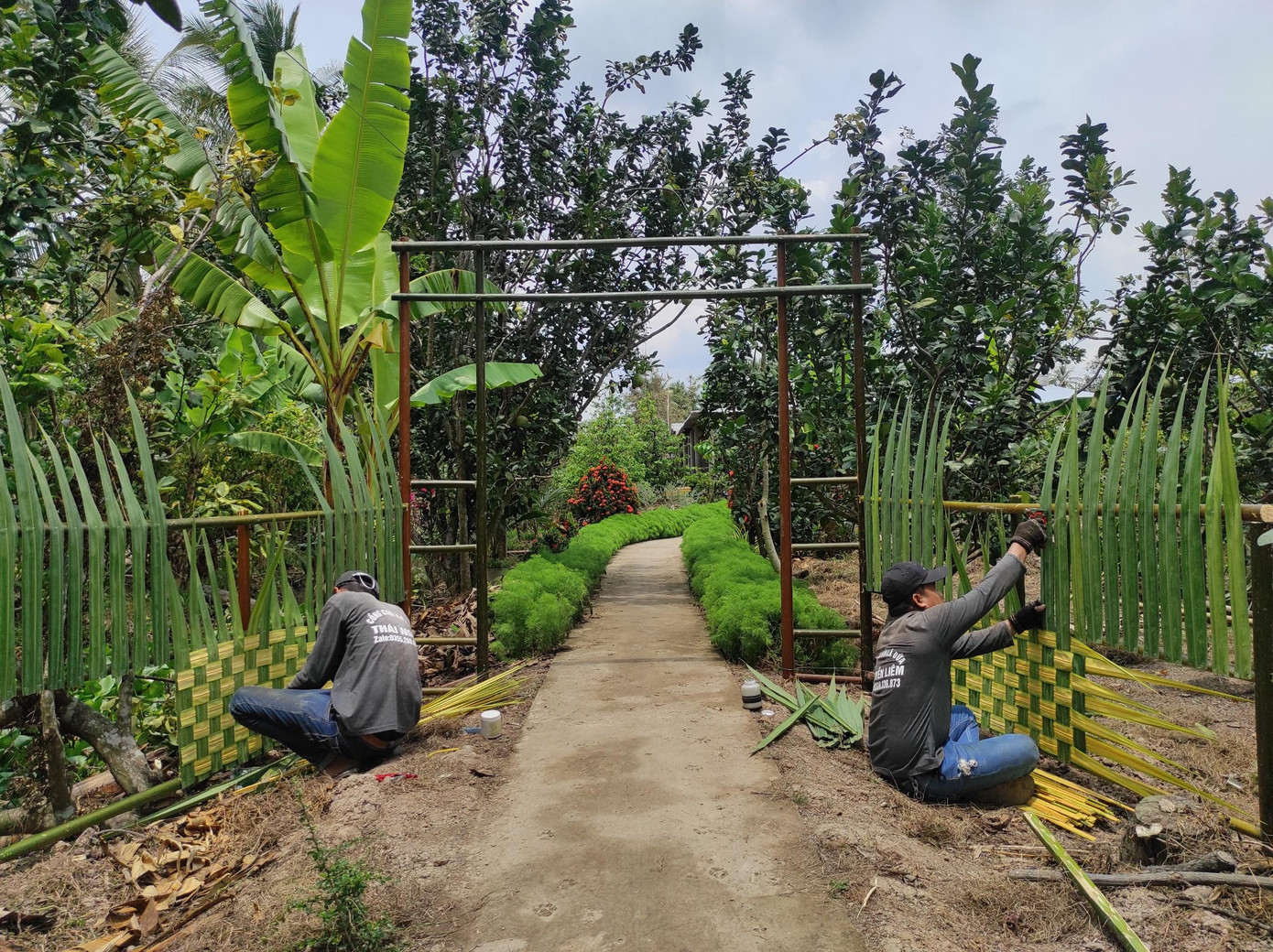Cổng cưới lá dừa, nét đẹp mộc mạc ‘độc nhất vô nhị’ ở miền Tây sông nước ảnh 9 Cổng cưới lá dừa, nét đẹp mộc mạc ‘độc nhất vô nhị’ ở miền Tây sông nước ảnh 9