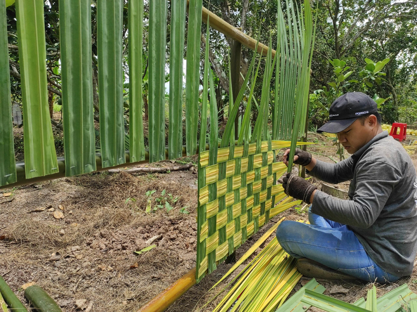 Cổng cưới lá dừa, nét đẹp mộc mạc ‘độc nhất vô nhị’ ở miền Tây sông nước ảnh 7 Cổng cưới lá dừa, nét đẹp mộc mạc ‘độc nhất vô nhị’ ở miền Tây sông nước ảnh 7