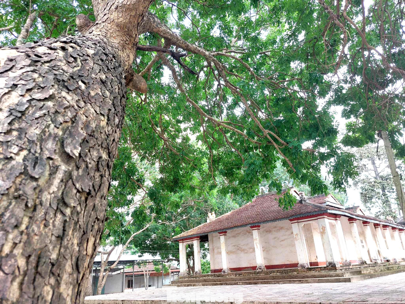 Đình Tương Hiệp là một trong 16 ngôi đình trên địa bàn Thủ Dầu Một, là ngôi đình có giá trị về mặt kiến trúc và tín ngưỡng tâm linh của con người và vùng đất Tương Bình Hiệp xưa, nay là phường Hiệp An.