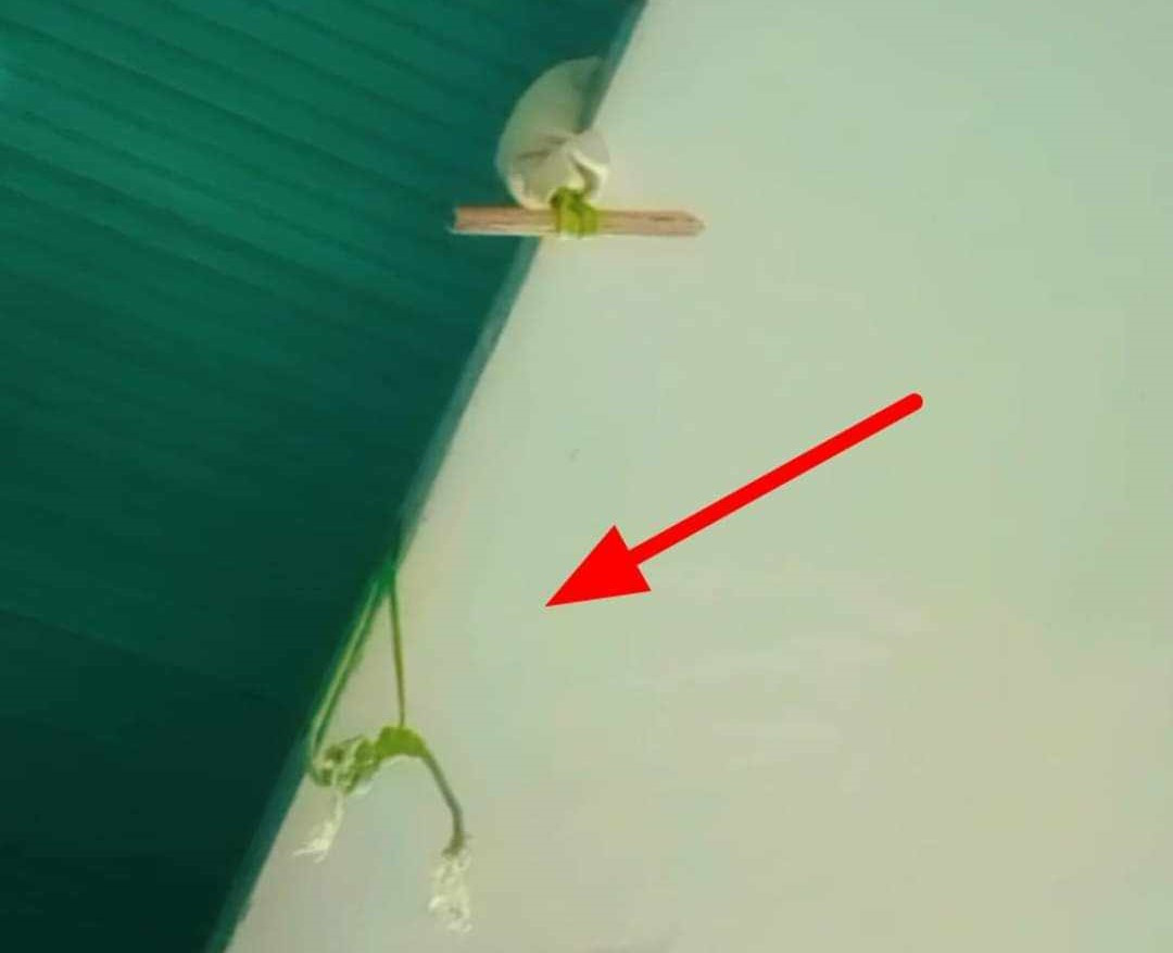 Hiện trường vụ việc