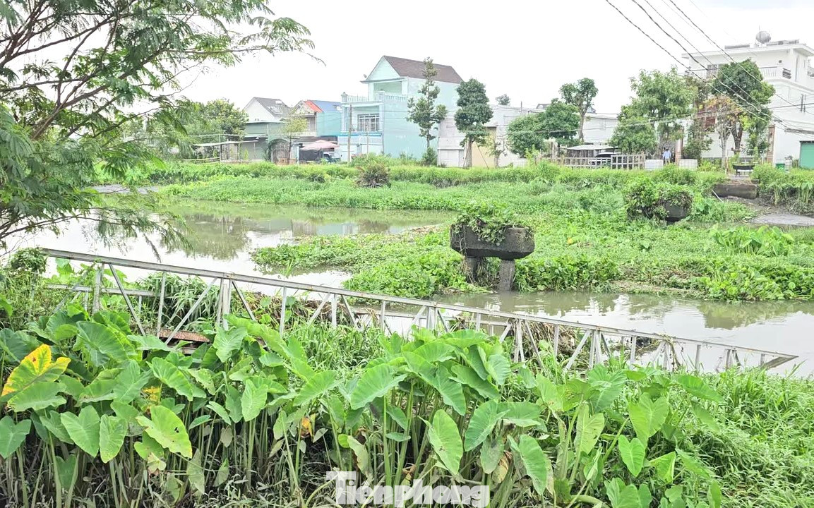 Cơn mưa lớn kéo dài trong đêm 15/10 khiến nhiều nơi ở Bình Dương ngập nặng. Thành phố Thuận An là địa phương chịu ảnh hưởng nặng nhất tại Bình Dương, ngoài hai cây cầu sắt bị cuốn trôi, nhiều nhà dân ở phường An Thạnh và xã An Sơn (TP.Thuận An) bị ngập sâu.