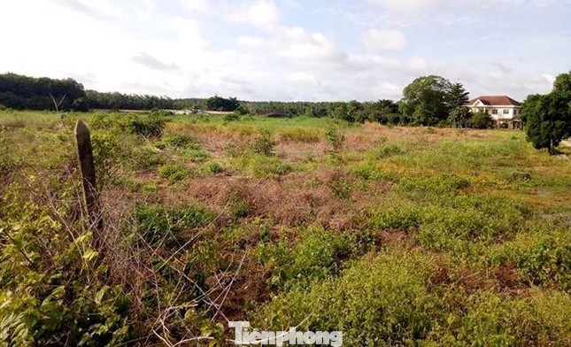 Khu đất khiến cựu Bí thư Bến Cát nhận chuyển nhượng