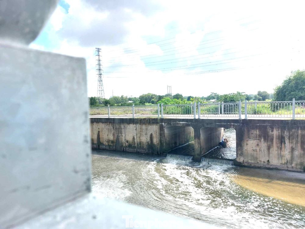 Một cống thoát nước dẫn vào kênh Một cống thoát nước dẫn vào kênh