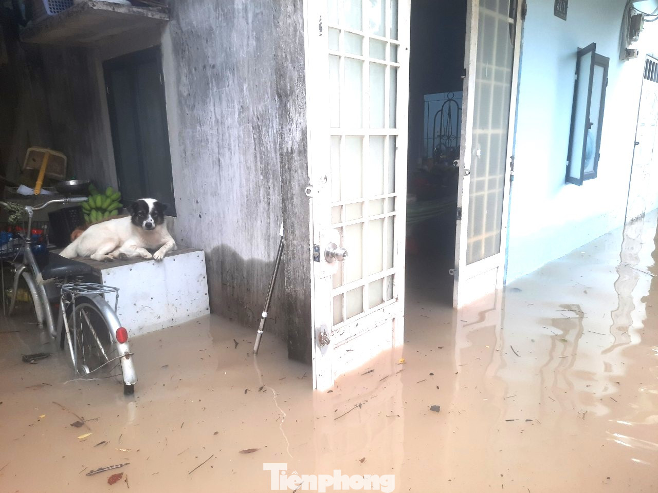 “Tạm thời gia đình tôi chuyển đến nhà người thân ở nhờ, chờ nước rút rồi về. Sáng nay, tôi đưa con đi học bằng xuồng”- anh Nguyễn Phúc (xã An Sơn, TP.Thuận An) cho hay.