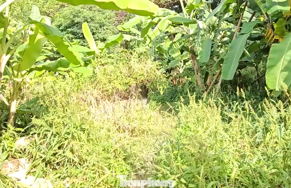 Hiện trường nơi phát hiện bộ xương người Hiện trường nơi phát hiện bộ xương người