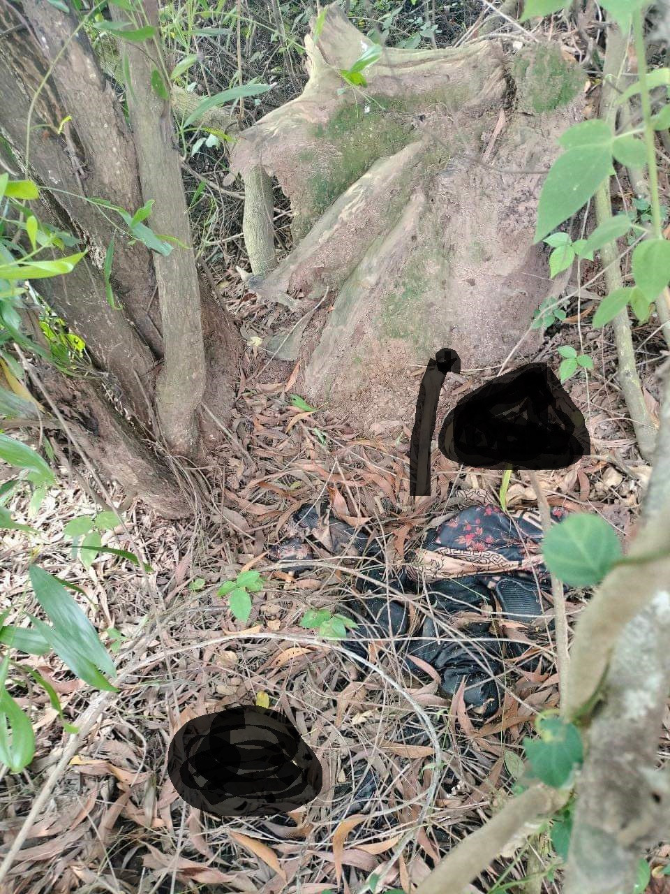 Hiện trường phát hiện bộ xương người Hiện trường phát hiện bộ xương người