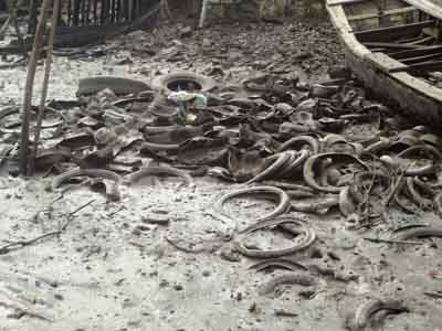 Lốp xe cũ dùng để nuôi hàu hết hạn sử dụng được tống thẳng xuống sông Chà Và