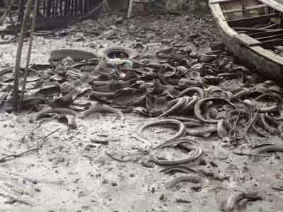 Lốp xe cũ dùng để nuôi hàu hết hạn sử dụng được tống thẳng xuống sông Chà Và