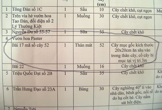  Cây xanh được chặt hạ tránh nguy hiểm cho người dân được thể hiện rõ trong giấy phép 