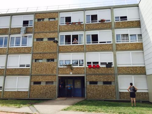 Chân dung bí ẩn của kẻ khủng bố chặt đầu người tại Pháp ảnh 1