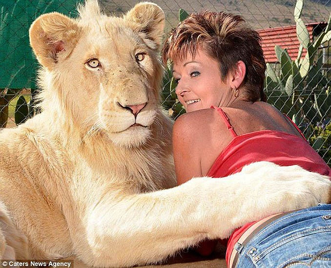 Annel Snyman và 'chú mèo lớn' Timba của mình sống chung trong căn nhà ở Waterburrg, Nam Phi 6 tháng nay, khiến nhiều người tin rằng vẫn có hy vọng tạo nên một mối quan hệ gần gũi giữa con người và động vật hoang dã