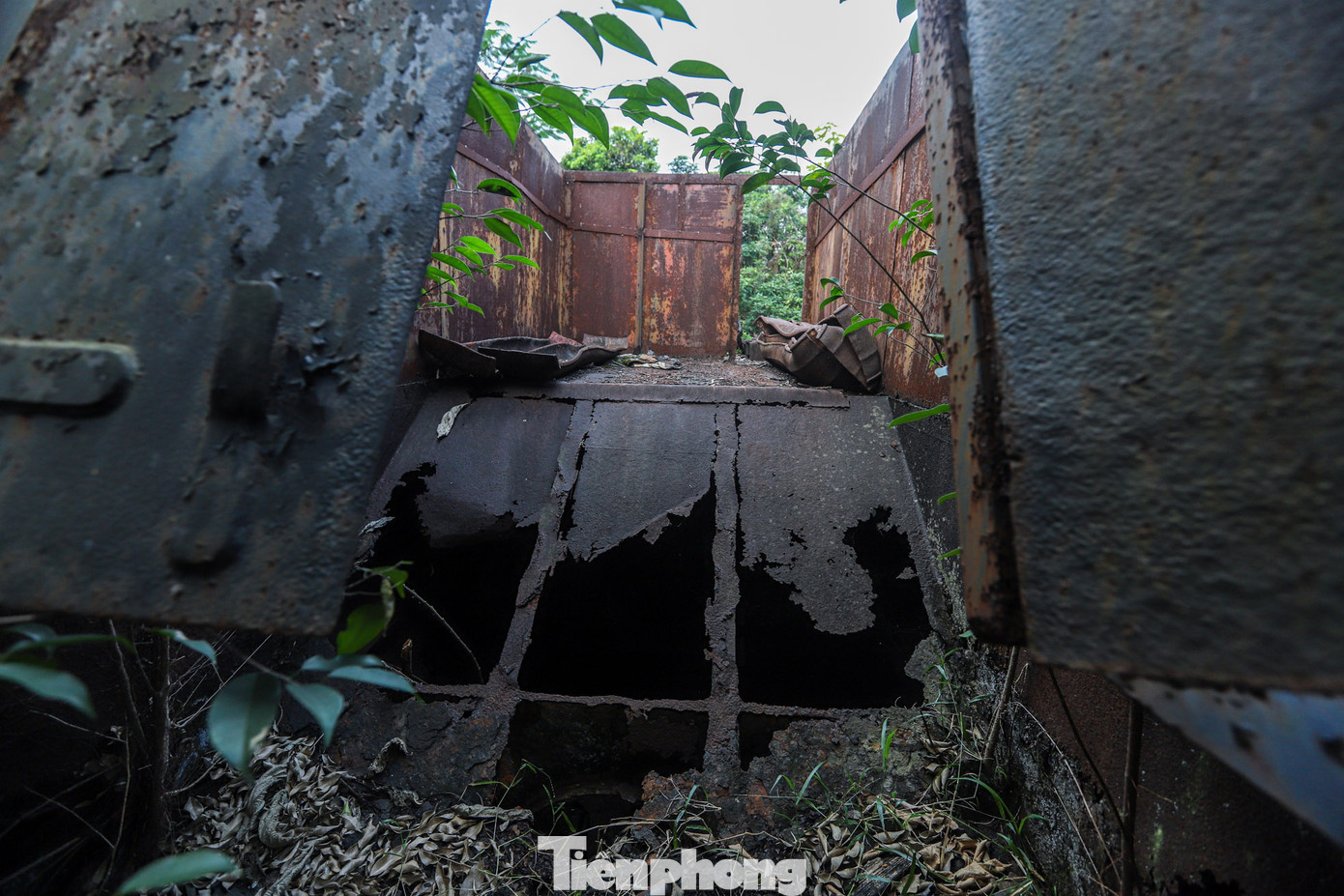 Khoang chứa than của phần đầu máy xuống cấp, hoen gỉ theo thời gian.