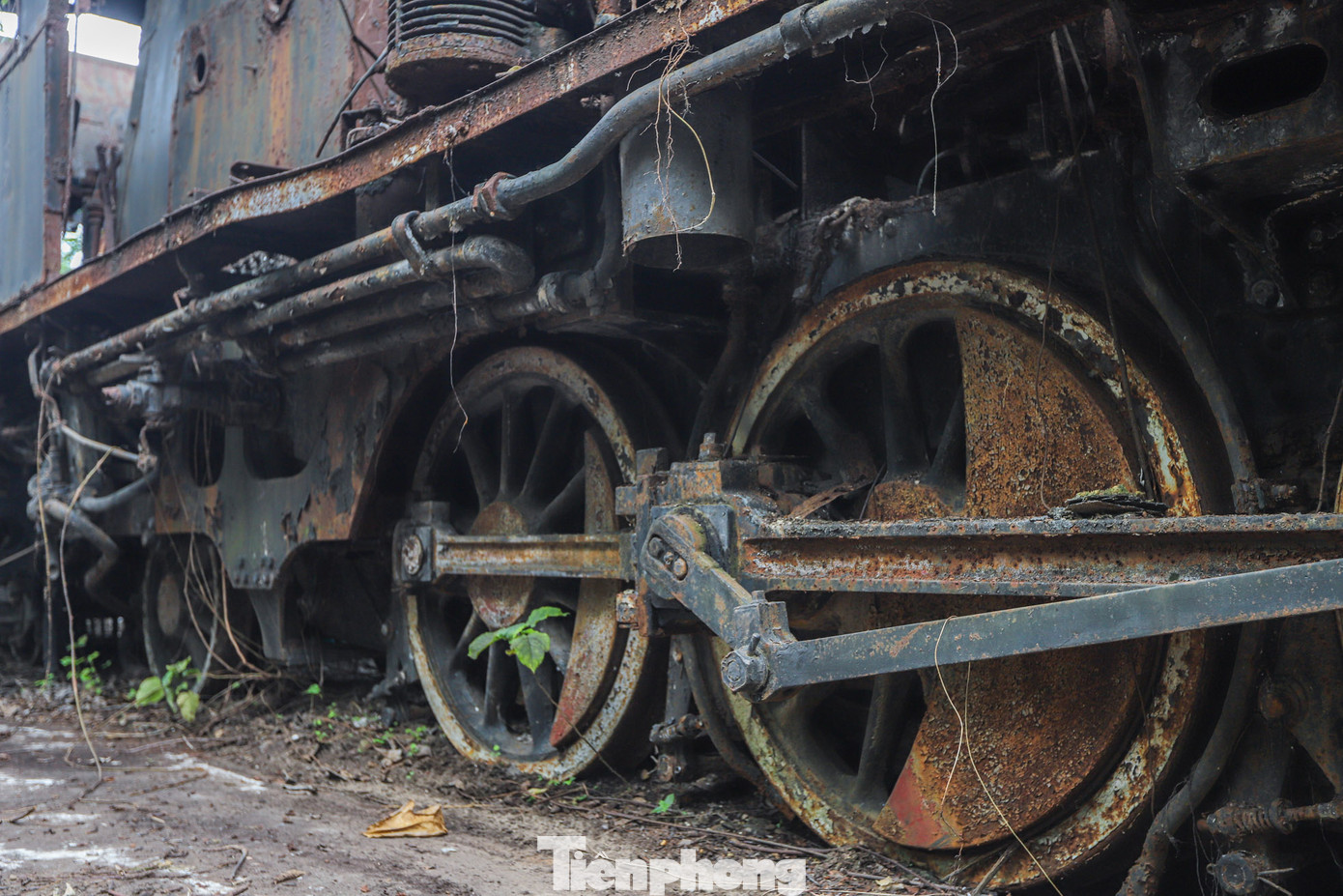 Thiết kế đặc trưng tạo nên cái tên 141-179 là 4 cặp bánh chủ động. Các cặp bánh chủ động nhận lực từ động cơ hơi nước để tạo ra lực kéo đoàn tàu.