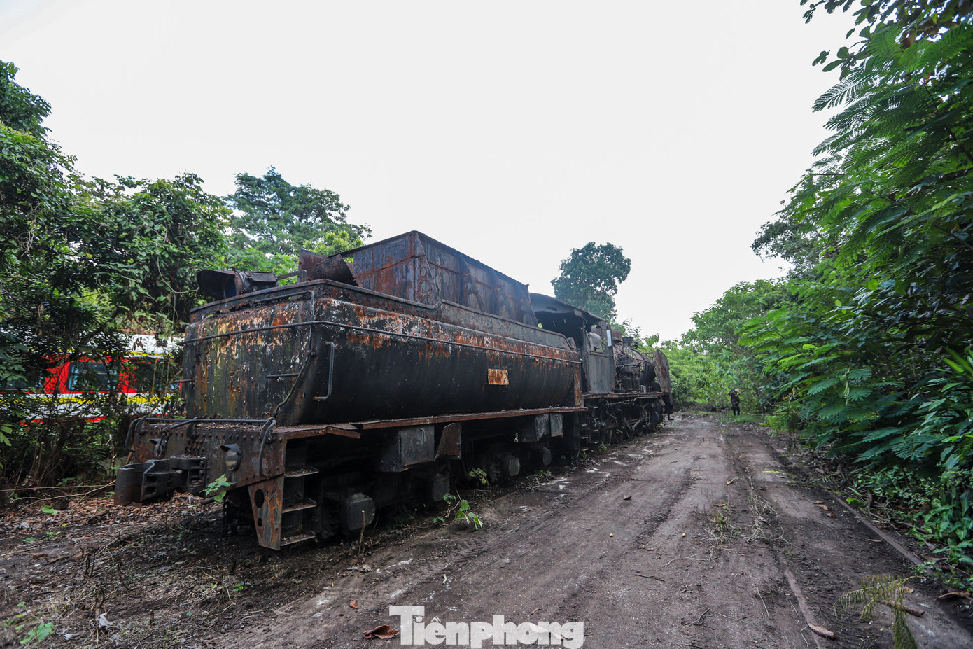Đầu máy xe lửa hơi nước Tự Lực mang số hiệu 141-179 được sản xuất năm 1965, được thiết kế chạy trên đường ray một mét, dài khoảng 19 m (bao gồm cả xe than) hoặc dài 11,5m (không bao gồm xe than); rộng 2,75 m, cao 3,8 m, nặng khoảng 100 tấn (có than và có nước).