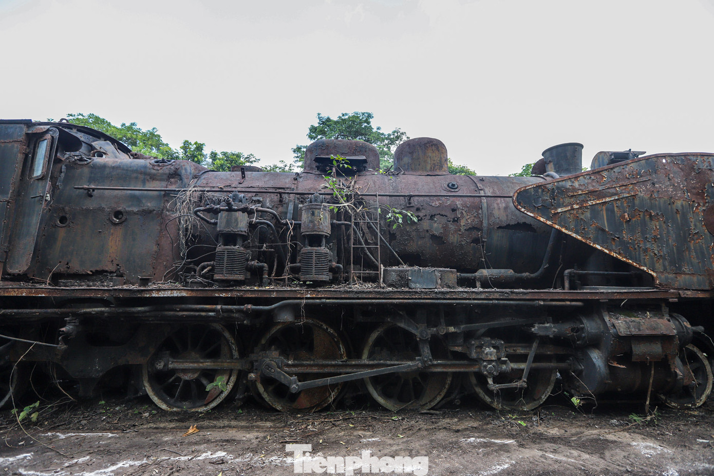 Đầu máy xe lửa hơi nước Tự Lực là biểu tượng của ngành đường sắt.