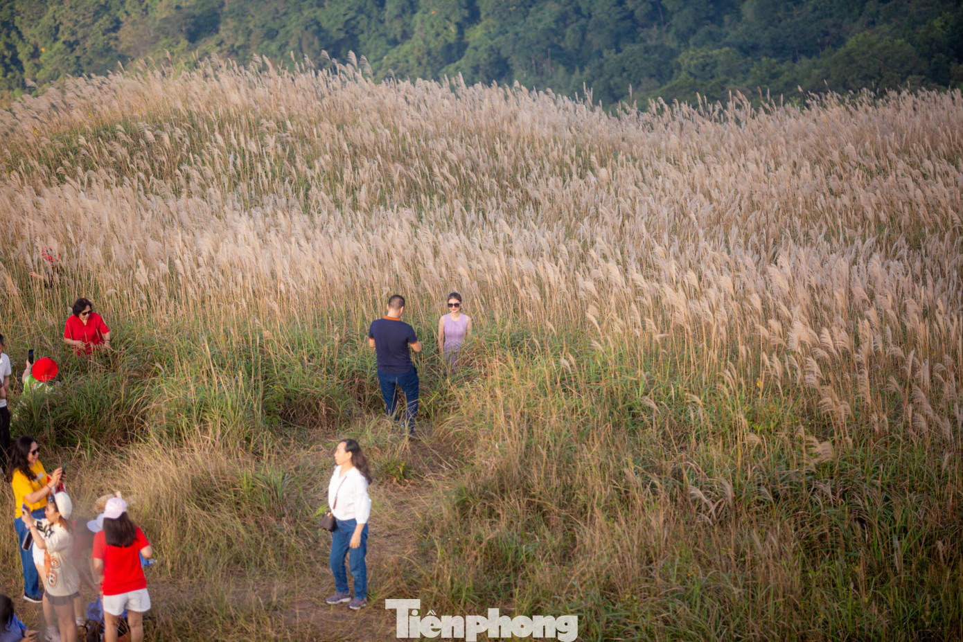 Ngắm nhìn một Bình Liêu hoang sơ, cuốn hút với những cung đường uốn lượn quanh đồi núi, giữa bạt ngàn lau trắng sẽ khiến nhiều người quên đi hết những âu lo, muộn phiền của cuộc sống.