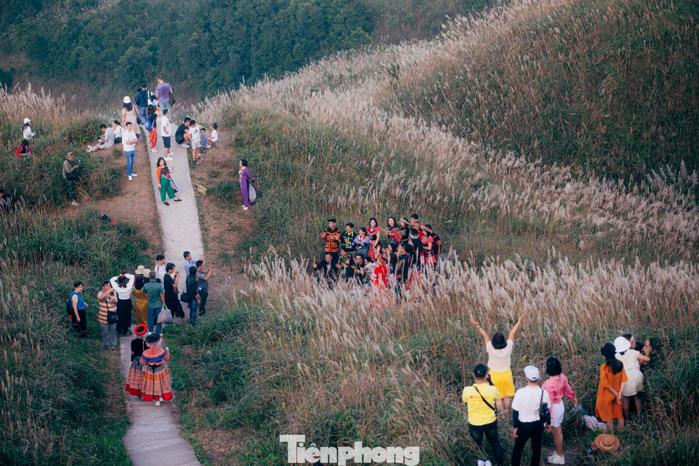 Đến nơi đây, người dân, du khách thập phương không ngỡ ngàng trước vẻ đẹp thơ mộng của cánh đồng cỏ lau đẹp hiếm có. Cung đường này còn được mệnh danh là “sống lưng khủng long” nhờ sự độc đáo của những con đường mòn trên đỉnh núi.