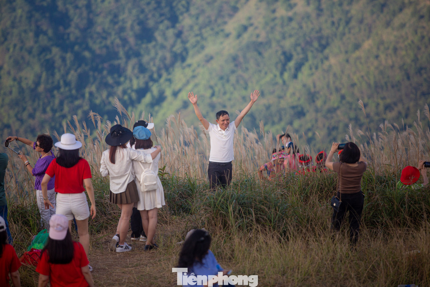 Cỏ lau mọc nhiều và đẹp nhất là cung đường vành đai biên giới phía Tây chạy về hướng Lạng Sơn.