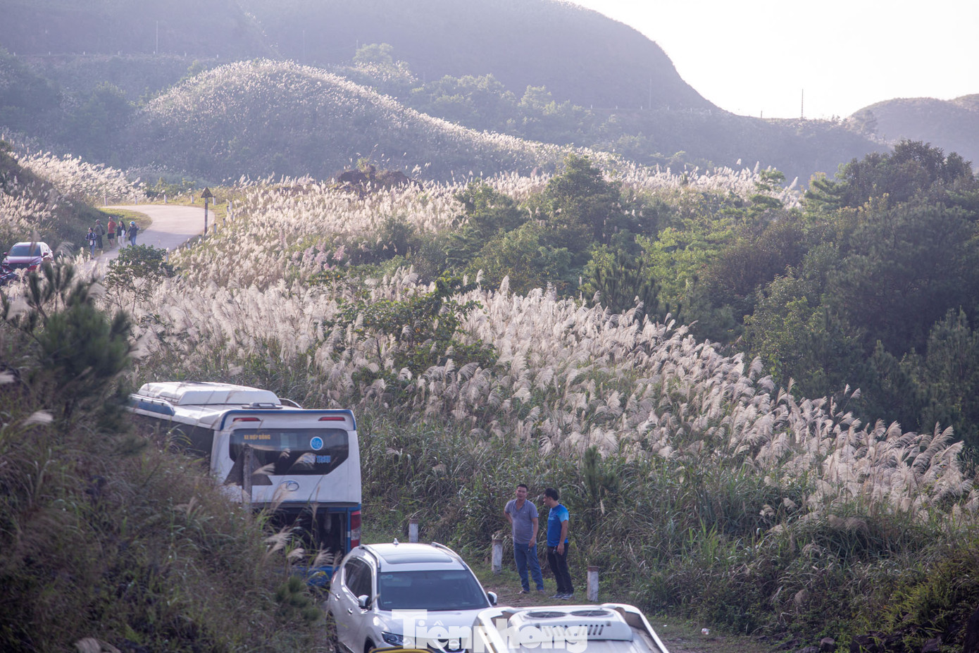 Cung đường Bình Liêu cách Hà Nội khoảng 300 km, cách thành phố Hạ Long khoảng 120km nơi đây được ví như “Sapa thu nhỏ” của Quảng Ninh nhờ cảnh sắc thiên nhiên hoang sơ, hùng vĩ. Đặc biệt hơn vào tháng 11 tại nơi đây, cánh đồng cỏ lau đẹp như tranh vẽ thu hút du khách thập phương.