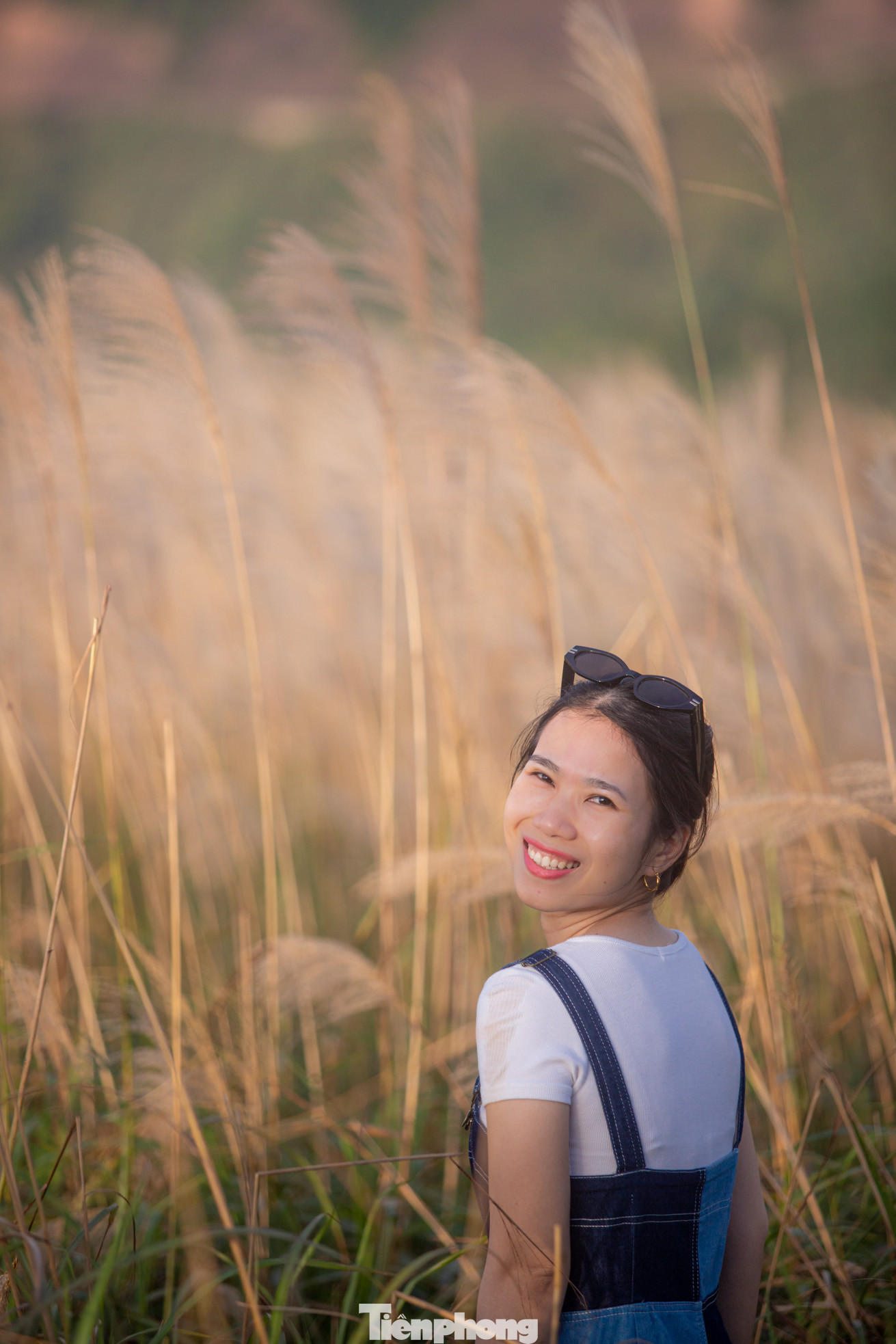 Chị Ngọc (30 tuổi, Hà Đông) đi gần 300km bằng xe máy cùng nhóm bạn bè để có thể chiêm ngưỡng thiên đường cỏ lau tại Bình Liêu. "Để lên Bình Liêu từ Hà Nội mất khoảng 6 tiếng đi xe máy, rất may thời tiết đẹp, thuận lợi cảnh sắc khá là đẹp. Quanh Hà Nội cũng có nhiều bãi lau nhưng không có cánh đồng lau nào bát ngát và tuyệt đẹp như ở đây", chị Ngọc chia sẻ.