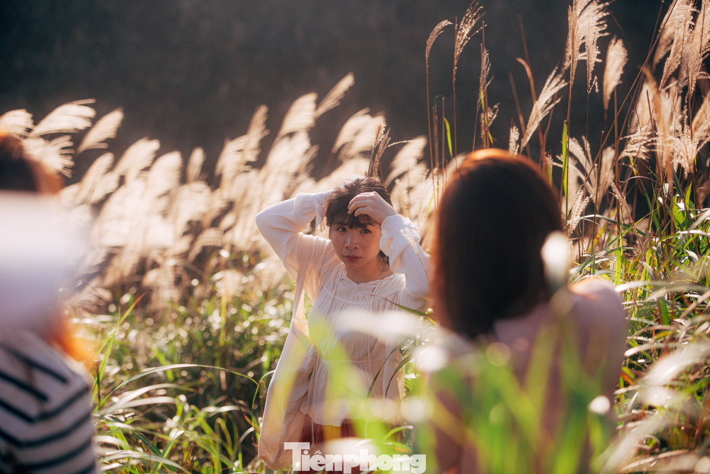 Vẻ đẹp hoang dại, nguyên sơ và mạnh mẽ của mùa cỏ lau Bình Liêu đã làm lay động biết bao trái tim của người lữ khách.