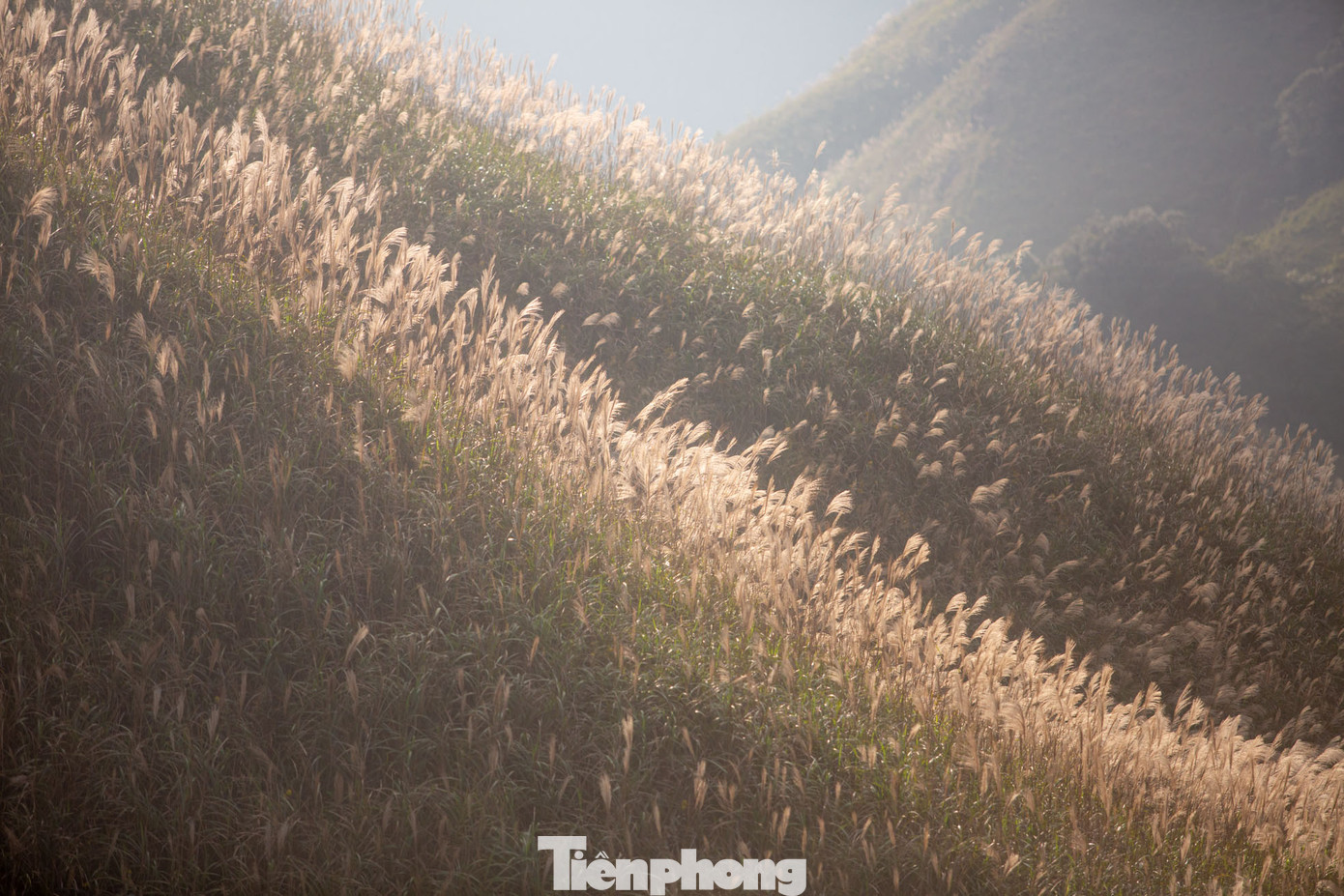 Bình Liêu hoang sơ và cuốn hút, với những cung đường uốn lượn quanh đồi núi, với bạt ngàn lau trắng, sẽ mang đến cho du khách những ngày đông lãng mạn.