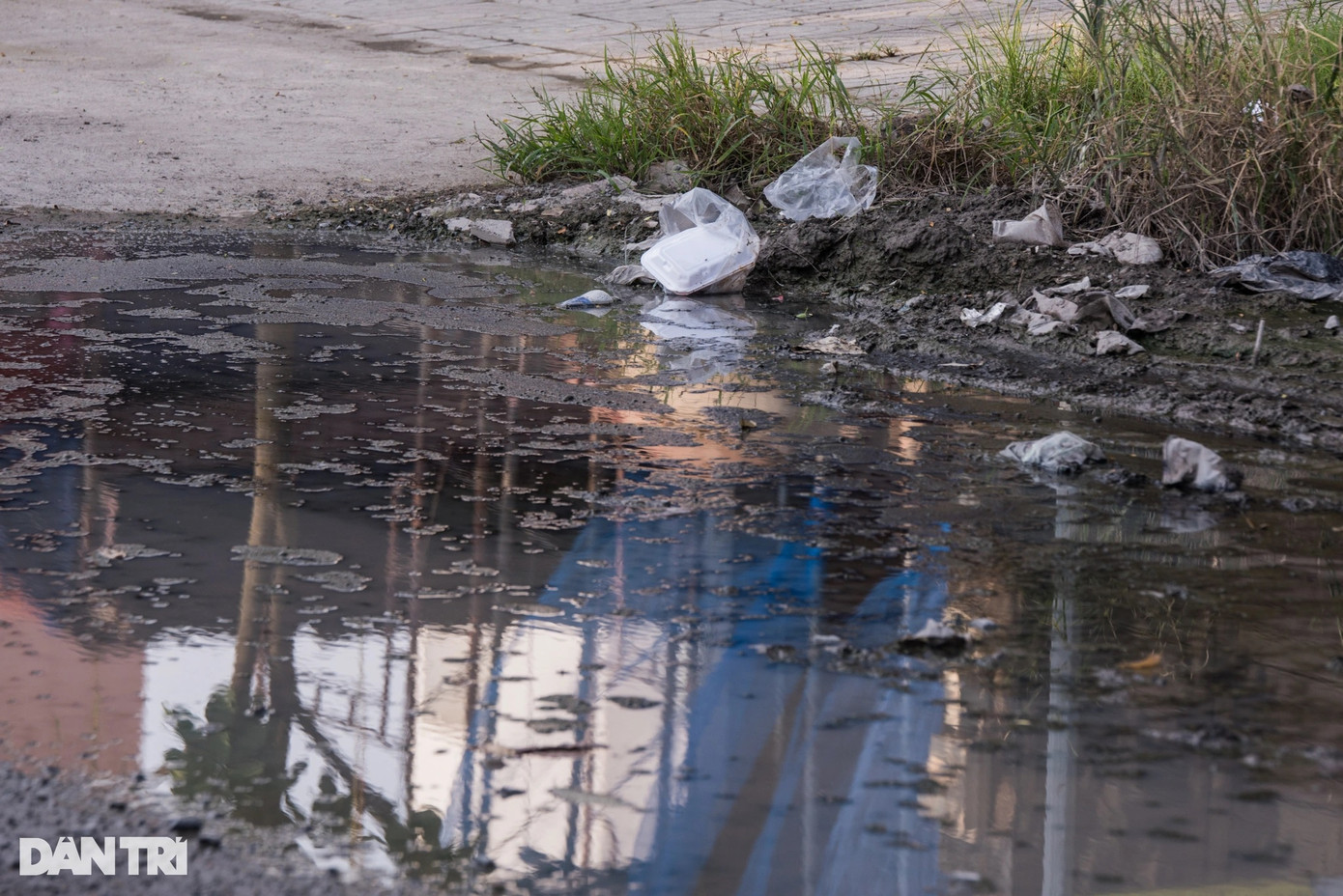 Nước ứ đọng hai bên mép đường lâu ngày khiến rong rêu, rác thải xuất hiện tràn lan, người dân luôn cảm thấy bất an mỗi khi đi lại. Nước ứ đọng hai bên mép đường lâu ngày khiến rong rêu, rác thải xuất hiện tràn lan, người dân luôn cảm thấy bất an mỗi khi đi lại.