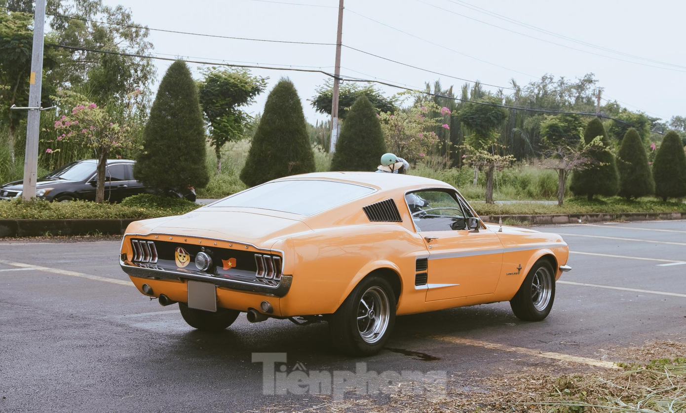 Theo thống kê, Việt Nam hiện nay chỉ có khoảng 15 chiếc Ford Mustang đời 1967 như mẫu xe màu vàng này. Nó ra mắt lần đầu tiên vào năm 1964 tại hội chợ New York và ngay lập tức thu hút được nhiều khách tham quan với đường nét thiết kế khoẻ khoắn thường thấy trên xe Mỹ. Đến nay, dòng xe này đã trải qua 6 thế hệ với nhiều lần nâng cấp khác nhau nhưng gần như vẫn không làm mất đi giá trị cốt lõi. Ảnh: Phúc Lộc Nguyễn.