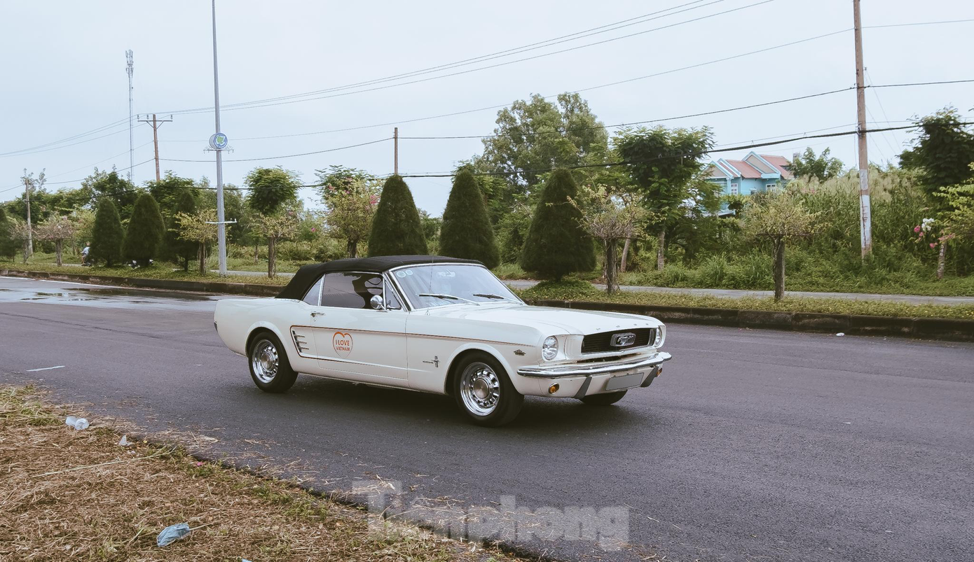 Mẫu xe Ford Mustang Convertible 1966. Nó được xem là một trong những chiếc Mustang có tuổi đời lâu nhất tại Việt Nam. Thực tế, chiếc xe cũng thuộc thế hệ Mustang đầu tiên của nhà sản xuất, có vòng đời từ năm 1964-1973. Mustang Convertible không khỉ mang linh hồn của một trong những dòng xe cơ bắp Mỹ kinh điển mà còn hòa trộn chất phóng khoáng, cởi mở nhờ thiết kế mui trần. Ảnh: Phúc Lộc Nguyễn.