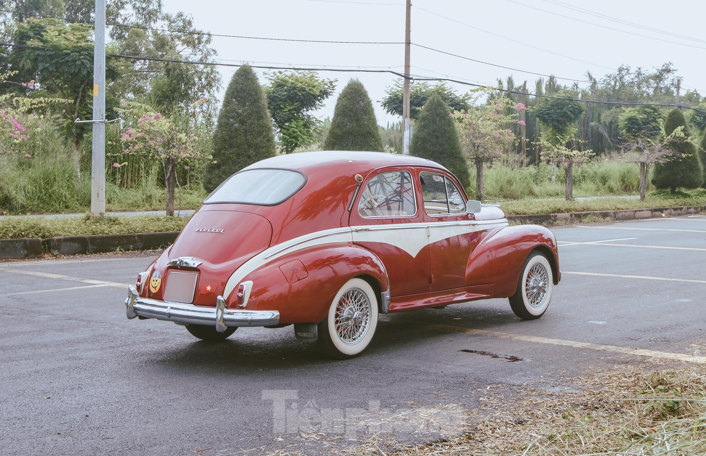 Mẫu xe được sản xuất lâu đời nhất trong loạt xe là chiếc Peugeot 203, được sản xuất vào năm 1958. Ảnh: Phúc Lộc Nguyễn.