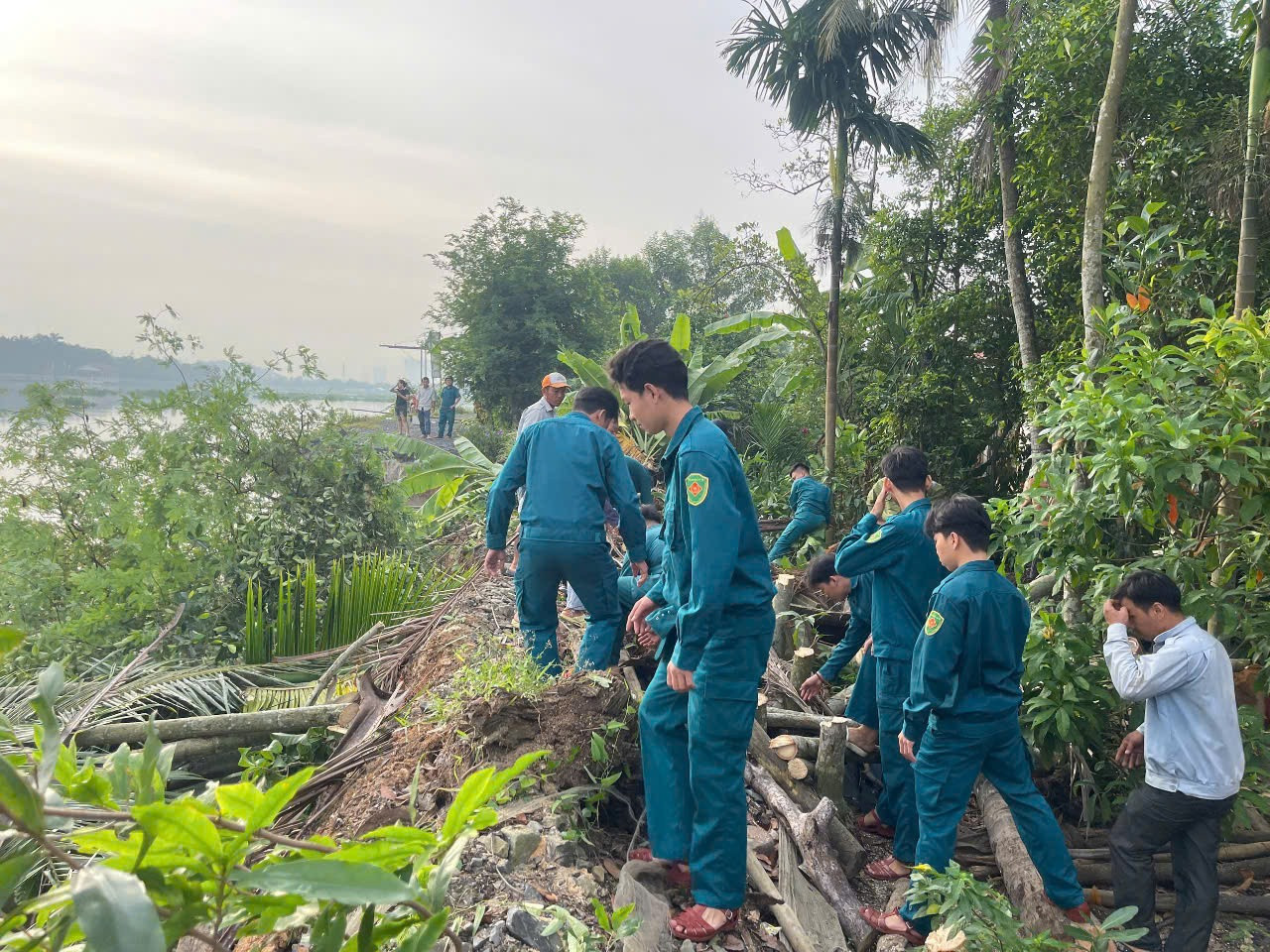Lực lượng dân quân tự vệ hỗ trợ di dời các hộ dân bị ảnh hưởng và tiến hành gia cố đoạn đê sông Sài Gòn bị sạt lở. Ảnh: M. Hoàng. Lực lượng dân quân tự vệ hỗ trợ di dời các hộ dân bị ảnh hưởng và tiến hành gia cố đoạn đê sông Sài Gòn bị sạt lở. Ảnh: M. Hoàng.