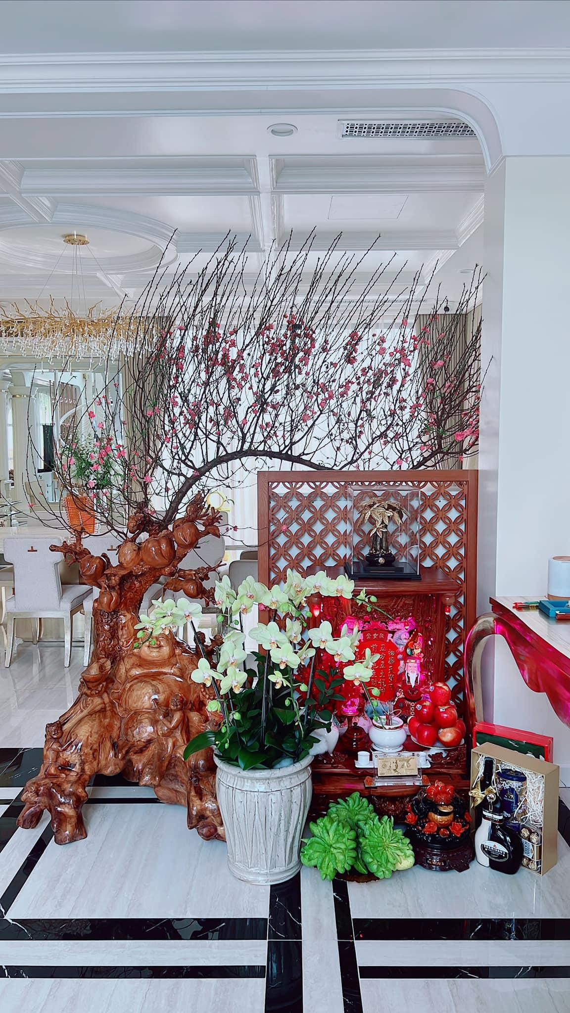 "Nữ hoàng phòng trà" bày tỏ: "Tết thế này là quá đủ an yên".