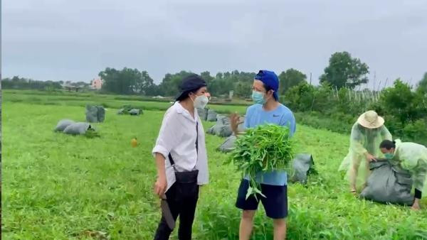 Được biết, từ sáng sớm Phương Thanh đã đến vườn rau muống để cùng mọi người thu hoạch.