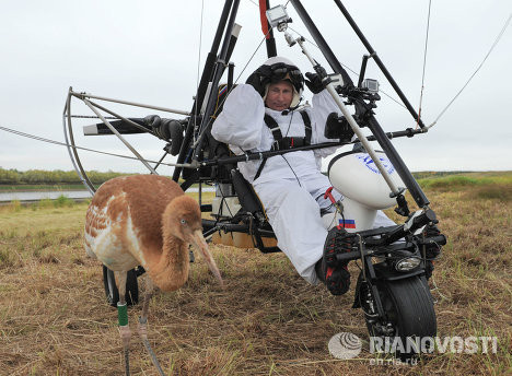 Tổng thống Putin vừa có chuyến bay lượn cùng đàn sếu