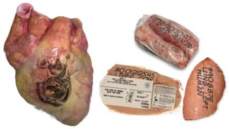 Xăm nội tạng ban đầu được bắt nguồn từ ngành công nghiệp ghép tạng để đảm bảo bệnh nhân được cấy ghép cơ quan chính xác nhưng hiện nay nó đã trở thành một trào lưu nghệ thuật