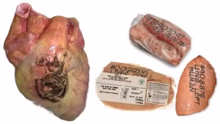 Xăm nội tạng ban đầu được bắt nguồn từ ngành công nghiệp ghép tạng để đảm bảo bệnh nhân được cấy ghép cơ quan chính xác nhưng hiện nay nó đã trở thành một trào lưu nghệ thuật